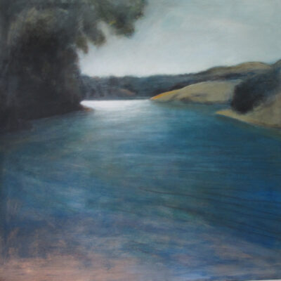 Marin Watershed Lake