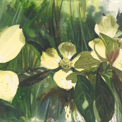 Peper 3-31-16 04, 4/1/16, 11:25 AM, 16C, 3550x6684 (2438+1635), 100%, Williams and o,  1/30 s, R30.0, G22.6, B36.4