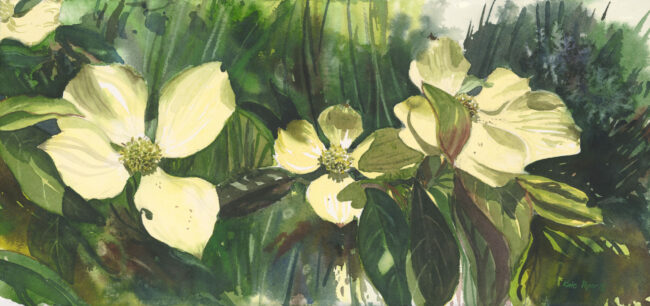 Peper 3-31-16 04, 4/1/16, 11:25 AM, 16C, 3550x6684 (2438+1635), 100%, Williams and o,  1/30 s, R30.0, G22.6, B36.4