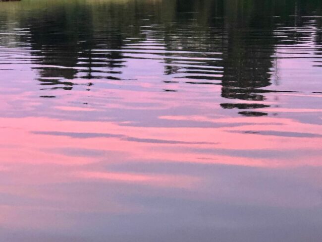 16"x20" Oil on Canvas