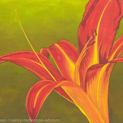 24" x 36" x 5/8" original oil painting  Oil paint on canvas on wood stretcher bars  A single, open Ruby spider daylily on a field  No need to frame  Image continued or painted on sides  Certificate of Authenticity included with purchase of original  All rights reserved by Nancy L. McLennon  409