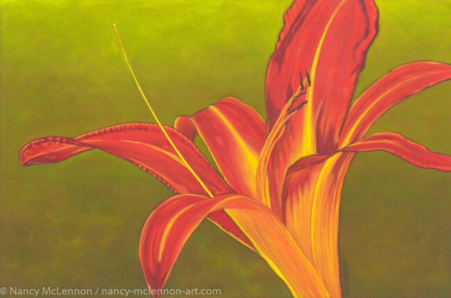 24" x 36" x 5/8" original oil painting  Oil paint on canvas on wood stretcher bars  A single, open Ruby spider daylily on a field  No need to frame  Image continued or painted on sides  Certificate of Authenticity included with purchase of original  All rights reserved by Nancy L. McLennon  409