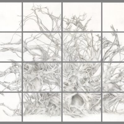 Melissa Parhm | Artist Statement
Upturned Roots, Silverpoint on Prepared Panels, 2018-2019
Upturned Roots is inspired by a tree in Glen Ellen - Kenwood I’ve been drawn to - especially the roots. After the 2017 fires, I searched and found it still intact. I saw the world in the tree, the concept of pareidolia.
I begin by preparing the panels in order to create a foundation for the silver. Building up many layers of luminous ground enables the interplay of light with the silver, creating a three-dimensional effect. The sun’s rays shifting on the panel’s surface results in an image that is ever-changing. New forms emerge and dissolve, like the forms I see in this tree’s roots.
Drawing with silver is sustainable and connects me to the lineage of artists I’m influenced by who worked in silverpoint in the ages before graphite was discovered and mined. Today as I am writing this, the fires are again raging in Napa. Again, I go into my studio, the elements, in order to honor them. They are all we have; they are the matter we are made of.
Upturned Roots was selected by the de Young Museum of Art for the 2020-2021 exhibition, On the Edge #565 deyoungopenexhibit@famsf.org
