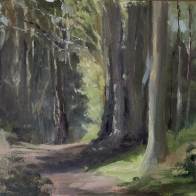 Lovely walk through groves of Eucalyptus trees