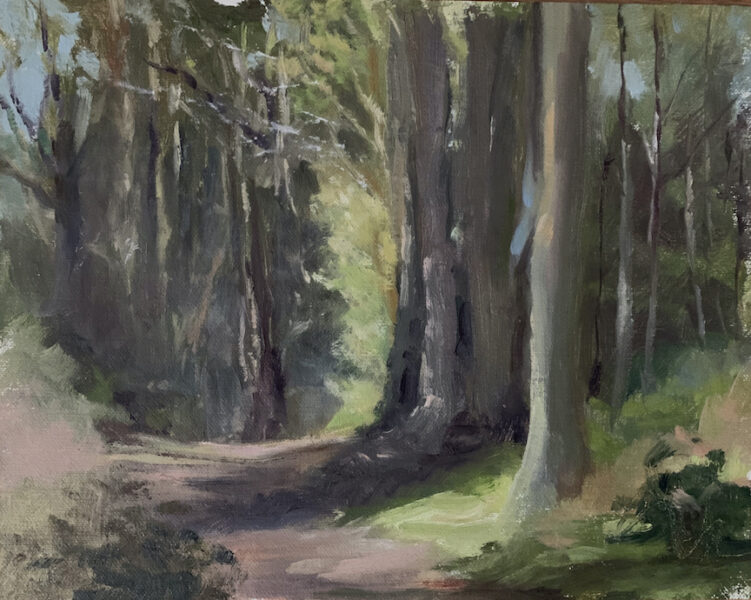 Lovely walk through groves of Eucalyptus trees