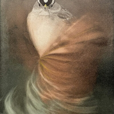 Photopolymer and monotype with emphasis on color and emotion.