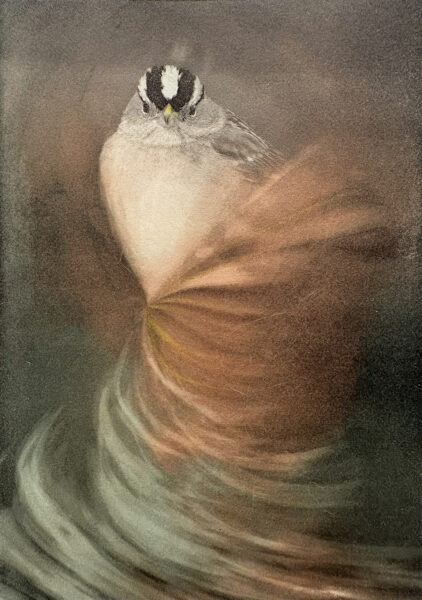 Photopolymer and monotype with emphasis on color and emotion.